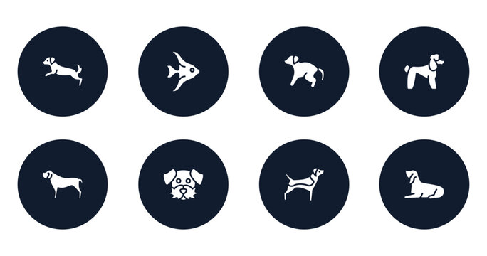 dog breeds fullbody filled icons set. flat filled icons sheet included dog scaping, angelfish, scold the dog, poodle, mastiff, moustache, beagle, bas houd vector.