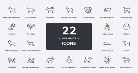dog breeds fullbody outline icons set. thin line icons sheet included miniature schnauzer, chihuahua, dog moustache, afghan hound, pet dish, dog and man seating, spider black widow, english mastiff