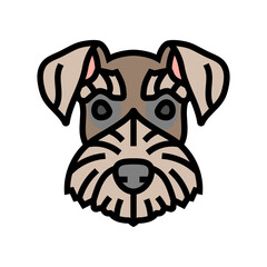 miniature schnauzer dog puppy pet color icon vector. miniature schnauzer dog puppy pet sign. isolated symbol illustration
