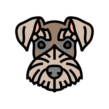 miniature schnauzer dog puppy pet color icon vector. miniature schnauzer dog puppy pet sign. isolated symbol illustration