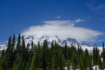 best view of Mount Rainier National Park at Seattle