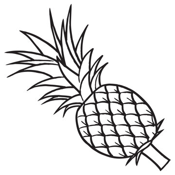 pineapple line vector illustration
