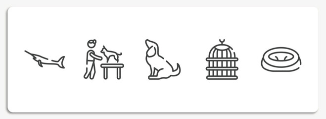 pet shop lineal outline icons set. thin line icons sheet included big swordfish, dog and veterinarian, sitting dog, bird cage, pet bed vector.