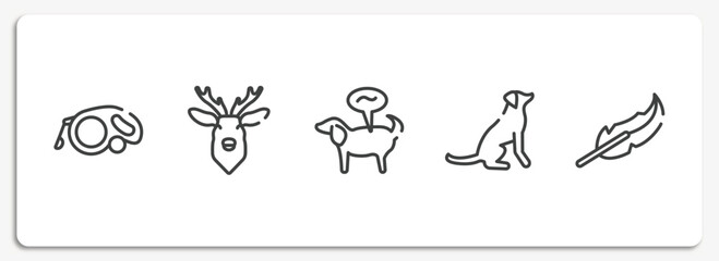 feathers set outline icons set. thin line icons sheet included extending leads, deer head, pet disease, dog seatting, feathers vector.