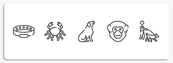 dog and training outline icons set. thin line icons sheet included cat collar, big crab, dog seating, chimpanzee head, dog walker vector.