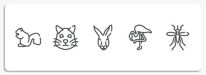 fauna outline icons set. thin line icons sheet included sitting squirrell, pet cat, kangaroo head, flamingo with leg up, big mosquito vector.