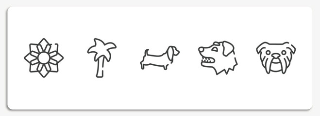 woof woof outline icons set. thin line icons sheet included angular flower, plain palm tree, dog with long ears, border collie dog head, bulldog head vector.