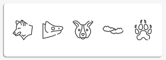 free animals outline icons set. thin line icons sheet included wolf head, chameleon head, dog face, cloudy sky, canine pawprint vector. © VectorStockDesign