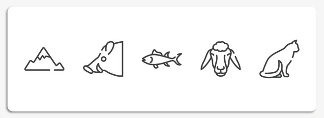 free animals outline icons set. thin line icons sheet included angular mountain, boar head, big tuna, sheep head, sitting cat vector.