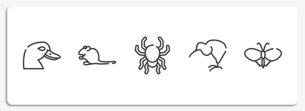 poi nature outline icons set. thin line icons sheet included duck head, sitting mouse, poisonous spider, kiwi eating, plain butterfly vector.