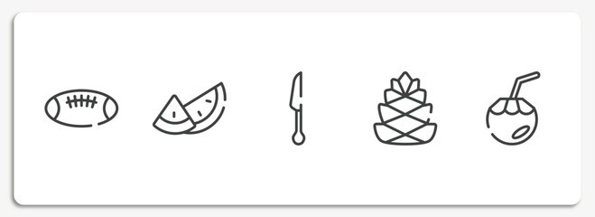 tropical outline icons set. thin line icons sheet included rugby ball, watermelon, cutlery, pine cone, coconut water vector.