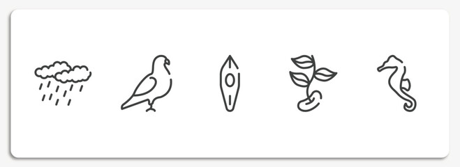 diving outline icons set. thin line icons sheet included precipitation, pigeon, canoe, beans, seahorse vector.