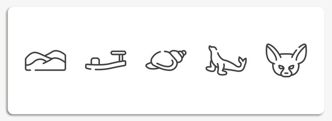 desert outline icons set. thin line icons sheet included dunes, sandals, shell, sea lion, fennec vector.