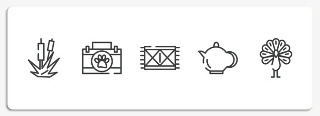 birds outline icons set. thin line icons sheet included bulrush, animal aid, rug, teapot, peacock vector.