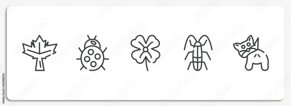 Poster insects outline icons set. thin line icons sheet included maple leaf, ladybug, clover, cockroach, nu