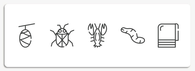 Obraz na płótnie Canvas pet grooming outline icons set. thin line icons sheet included cocoon, beetle, lobster, worm, towel vector.