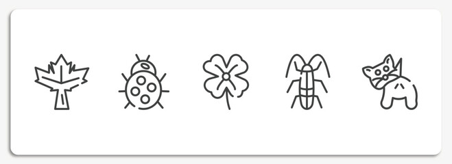 Fototapeta premium insects outline icons set. thin line icons sheet included maple leaf, ladybug, clover, cockroach, null vector.