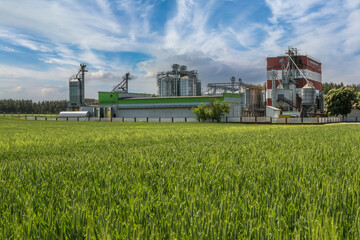 Fototapeta na wymiar agro silos on agro-industrial complex and grain drying and seeds cleaning line.