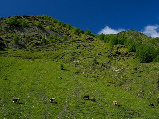 Mesmerizing Kazbegi mountains in Georgia, with majestic peaks and serene landscapes, a paradise for nature lovers.