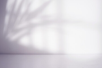 Minimalist white room with shadow overlay