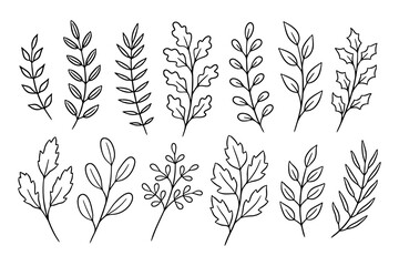 Hand-drawn black and white leafy branches