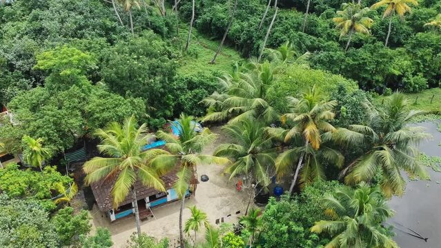 Aerial view of a rural house in India , Little house by the lake , Aerial view of small houses standing in coconut groves ,