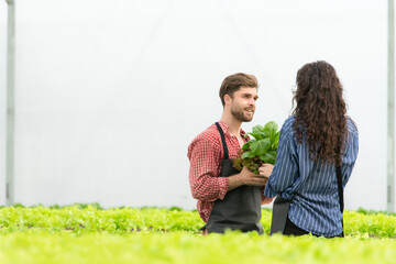 Both small business owners have organic vegetable gardens, They picking fresh veggies to deliver to...