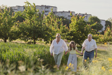 elderly people farmers in the field of wheat a walk in nature