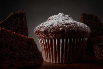 Chocolate cupcake & powdered sugar