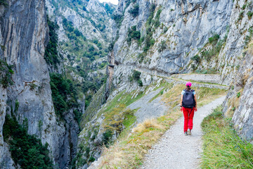 Fototapeta premium Ruta del Cares in Picos de Europa National Park, Spain 