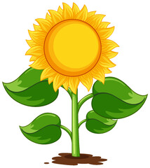 Sunflower plant cartoon isolated