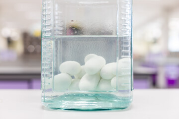 Cobra's eggs on a white background.