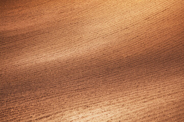Rural landscape. Row plowed field, sown with cereals or prepared for planting, brown earth, clay or...