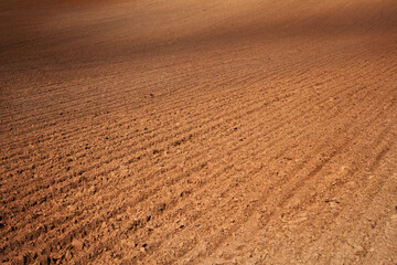 Rural landscape. Row plowed field, sown with cereals or prepared for planting, brown earth, clay or loamy soil. Organic agriculture. Agricultural land. Agricultural background.