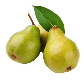 Delicious pears isolated on transparent background, png clip art, template for mark fruit flavor on label of product. Generated with AI.