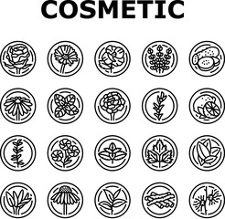 plant natural cosmetic green icons set vector. product summer, beauty leaf, modern organic, showcase sale, wall, creative, object plant natural cosmetic green black contour illustrations