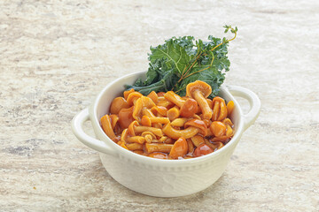 Wild pickled honey mushroom in the bowl