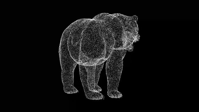3D Grizzly Bear rotates on black background. Object made of shimmering particles. Wild animals concept. Protection of the environment. For title, text, presentation. 3d animation 60 FPS