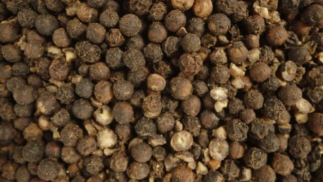 The camera slowly focuses on a cluster of black peppercorns, macro shot.