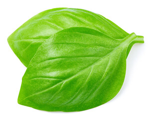 Basil leaf isolated on white background