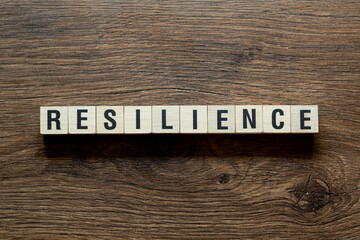 Resilience - word concept on building blocks, text