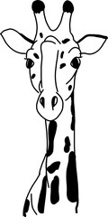 Outline giraffe illustration