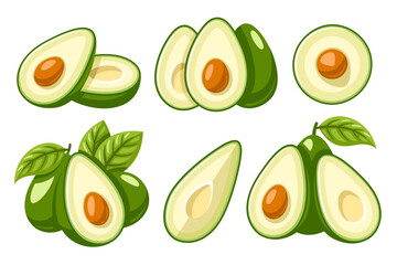 Set of fresh avocado icons isolated on white background. Vector illustration