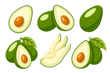 Set of fresh avocado icons isolated on white background. Vector illustration