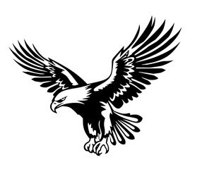 Bald Eagle in flight, vector design against white background ¥