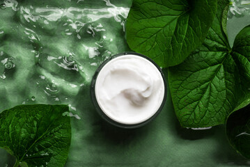 Jar of cosmetic cream and plants on green water