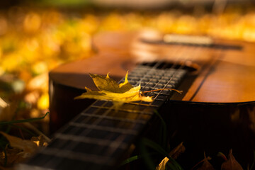 Guitar and autumn leaves background.