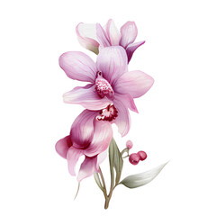 beautiful watercolor thai pink purple orchid flower, AI Generative