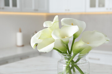 Glass vase with beautiful calla lily flowers in kitchen, closeup