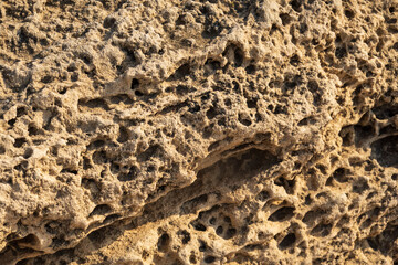 Texture of a porous limestone natural background